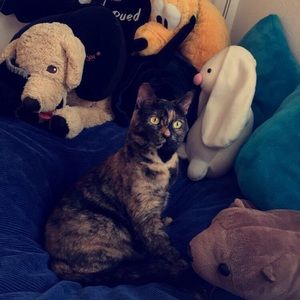 Meet your Posher, Anna